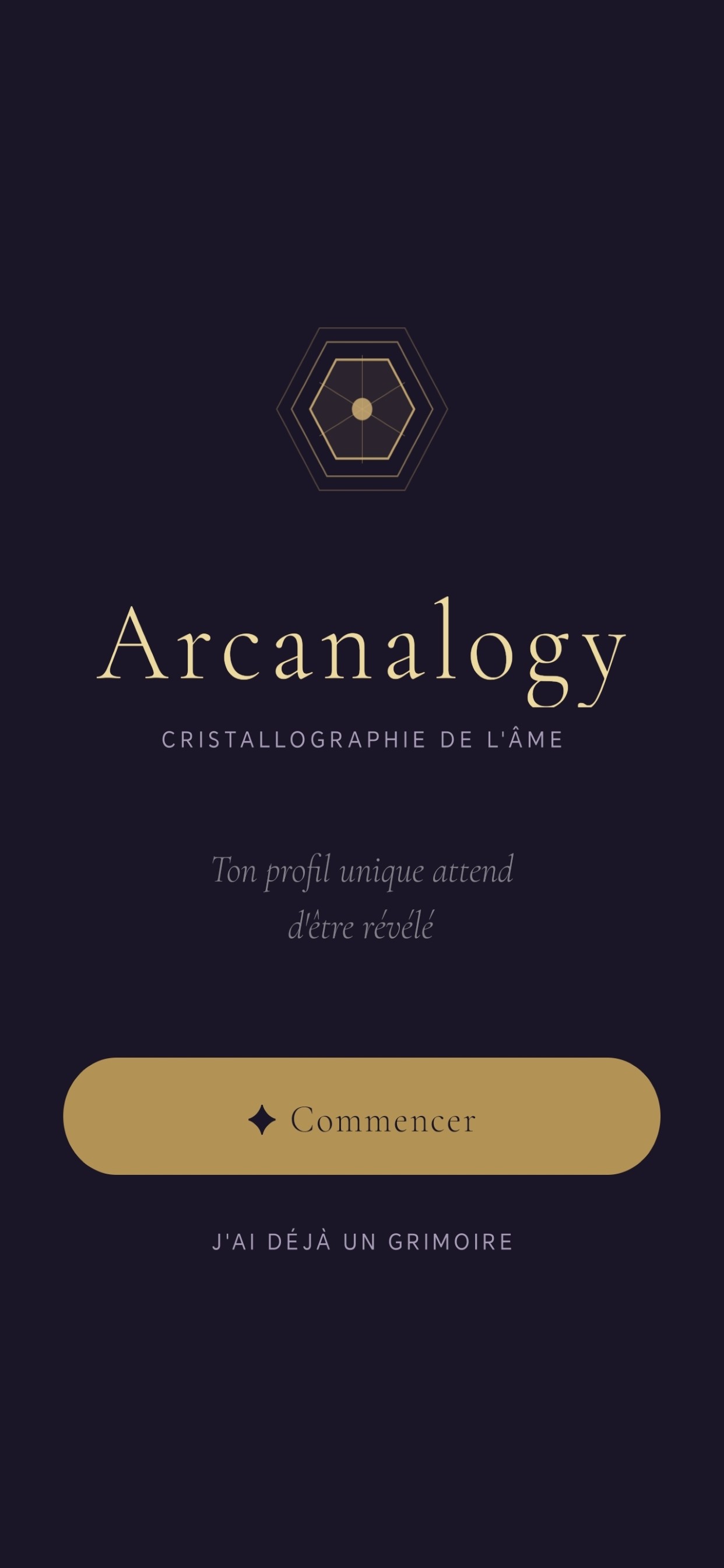 Écran d'accueil Arcanalogy